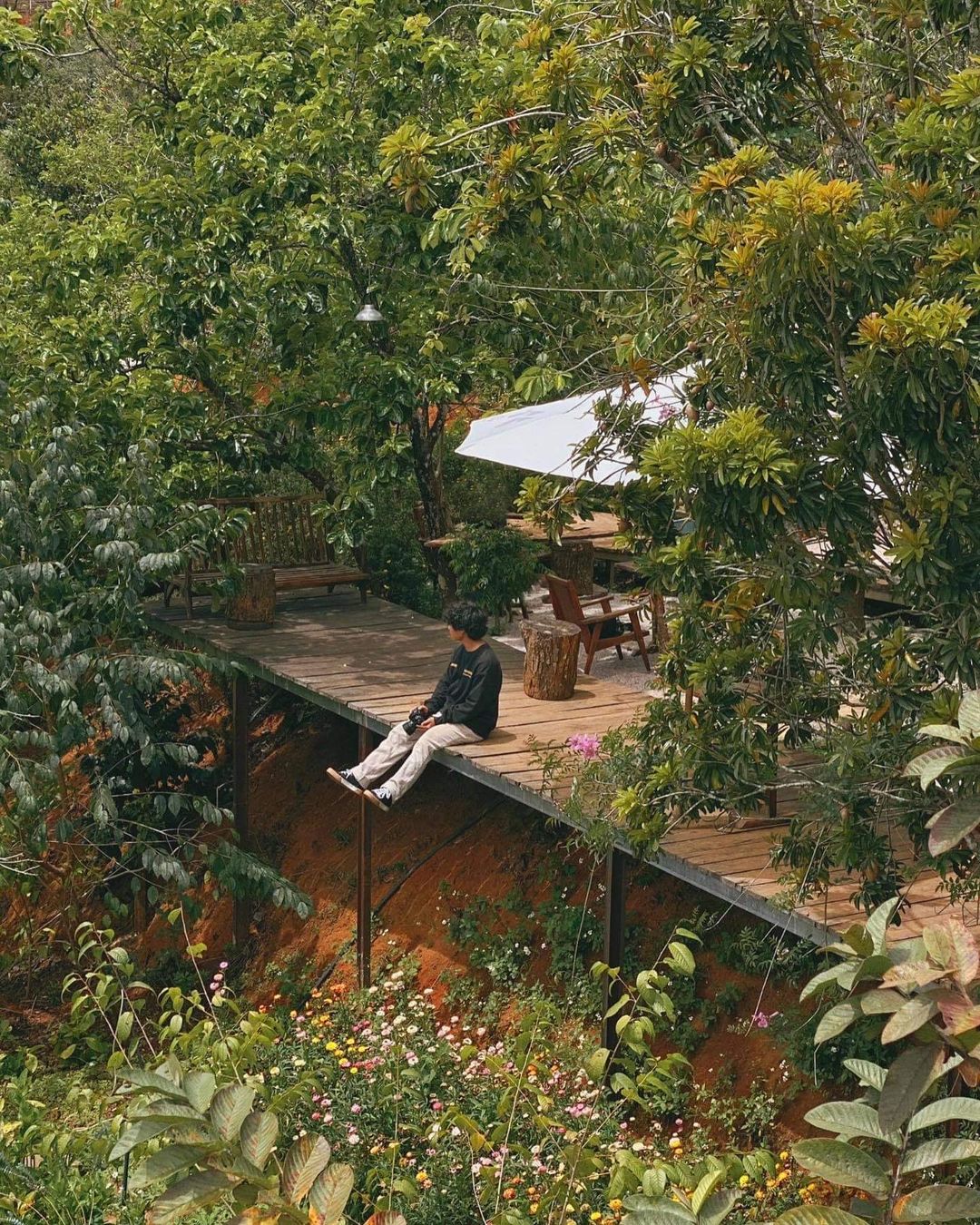 tiệm cà phê rừng nhiệt đới đà lạt