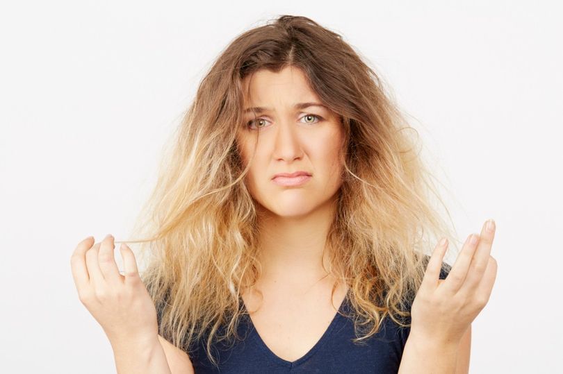 Tóc ướt mỏng manh và yếu ớt hơn tóc khô nên dễ bị hư tổn hoặc chẻ ngọn.