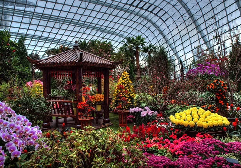 Flower Dome Singapore