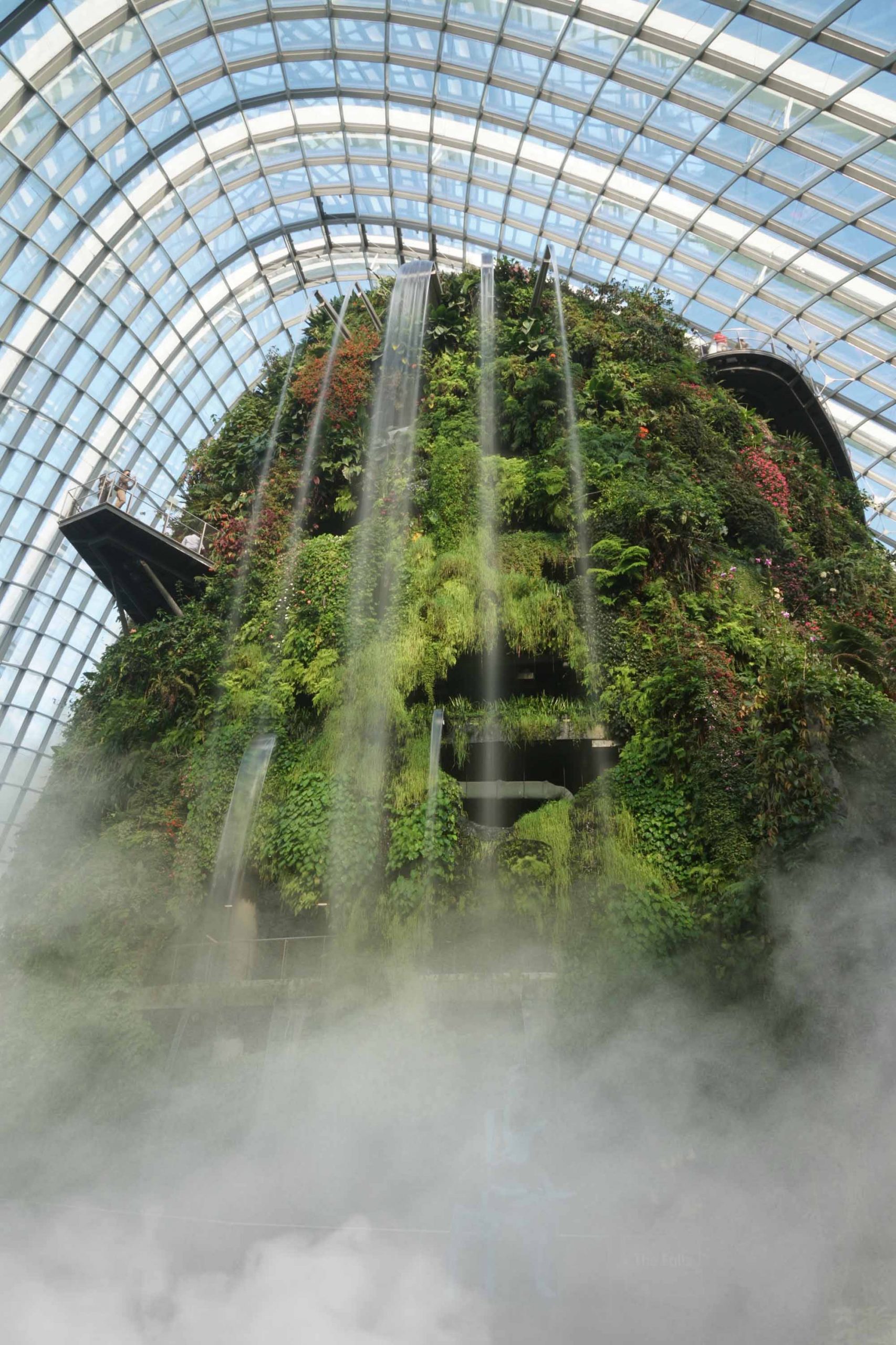 Cloud Forest Singapore