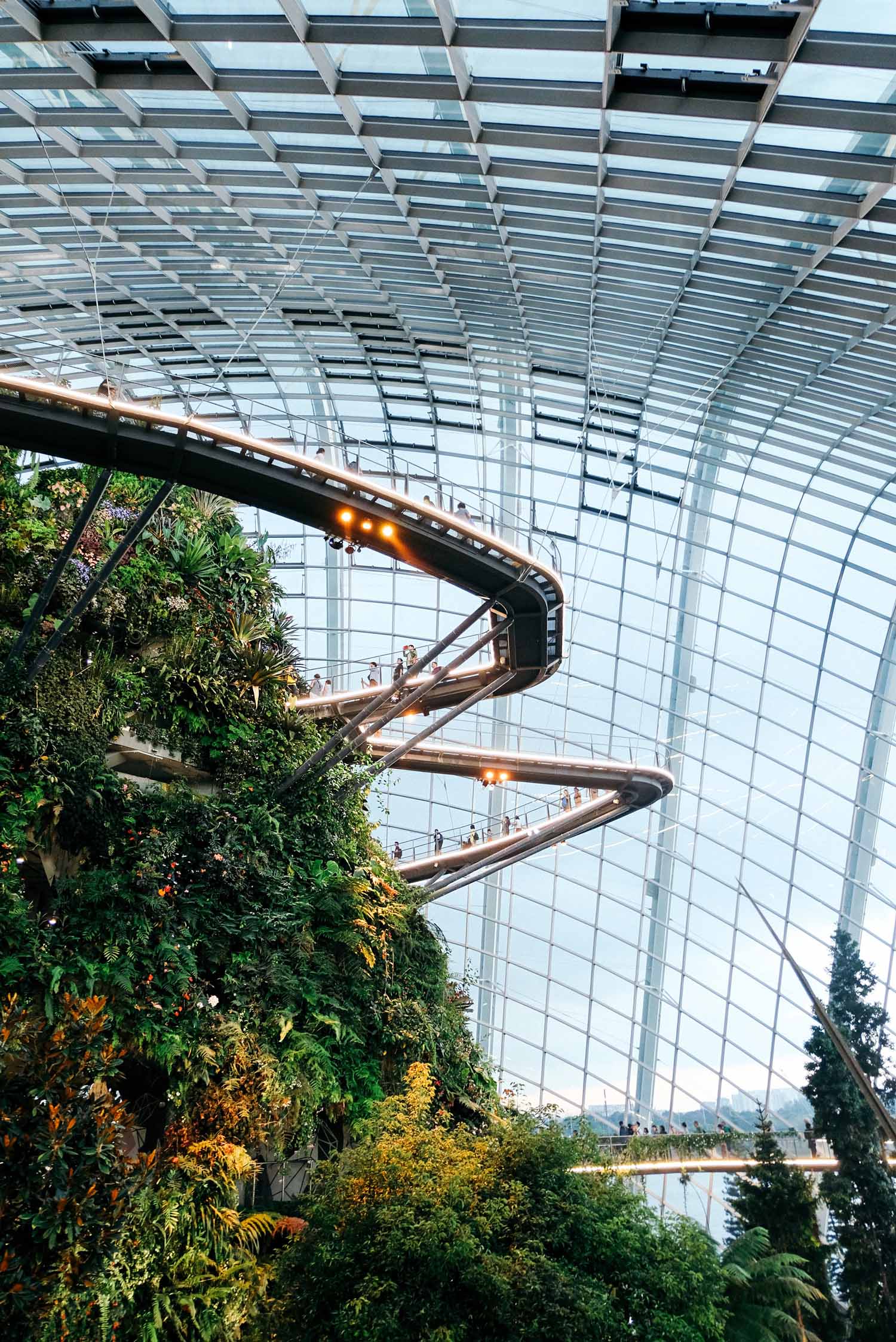 Cloud Forest ở Singapore