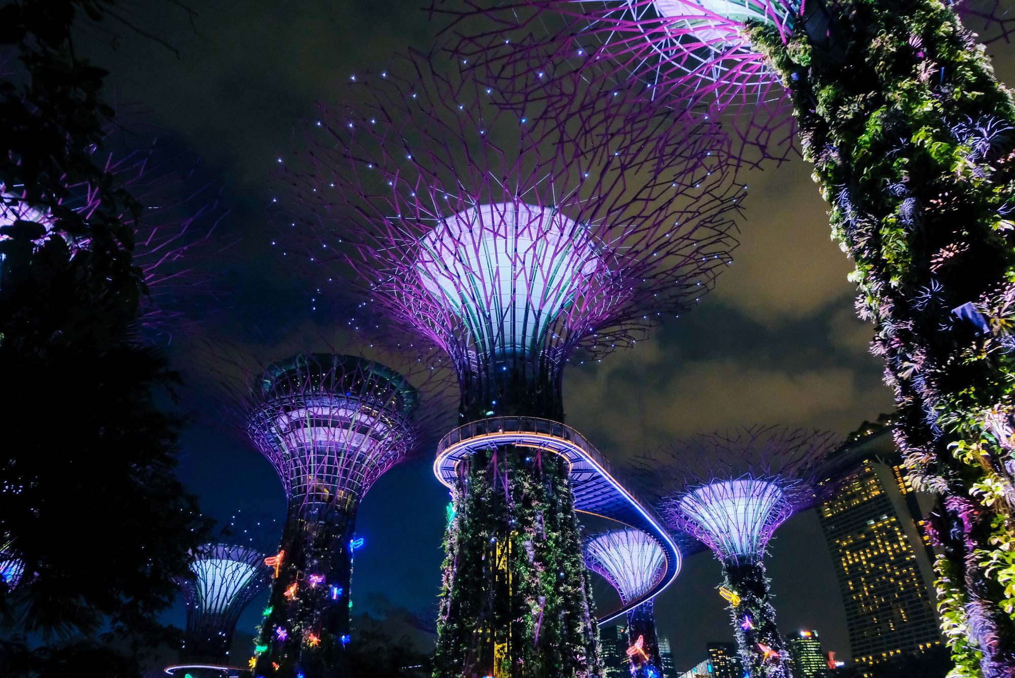 Supertreegrove Singapore