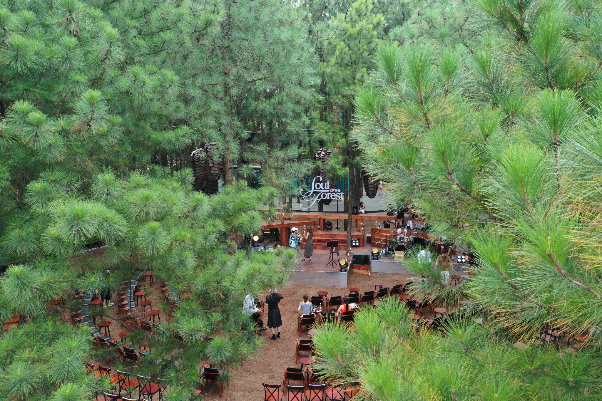 Soul of the Forest Hà Trần và Uyên Linh song ca giữa rừng thông ELLE