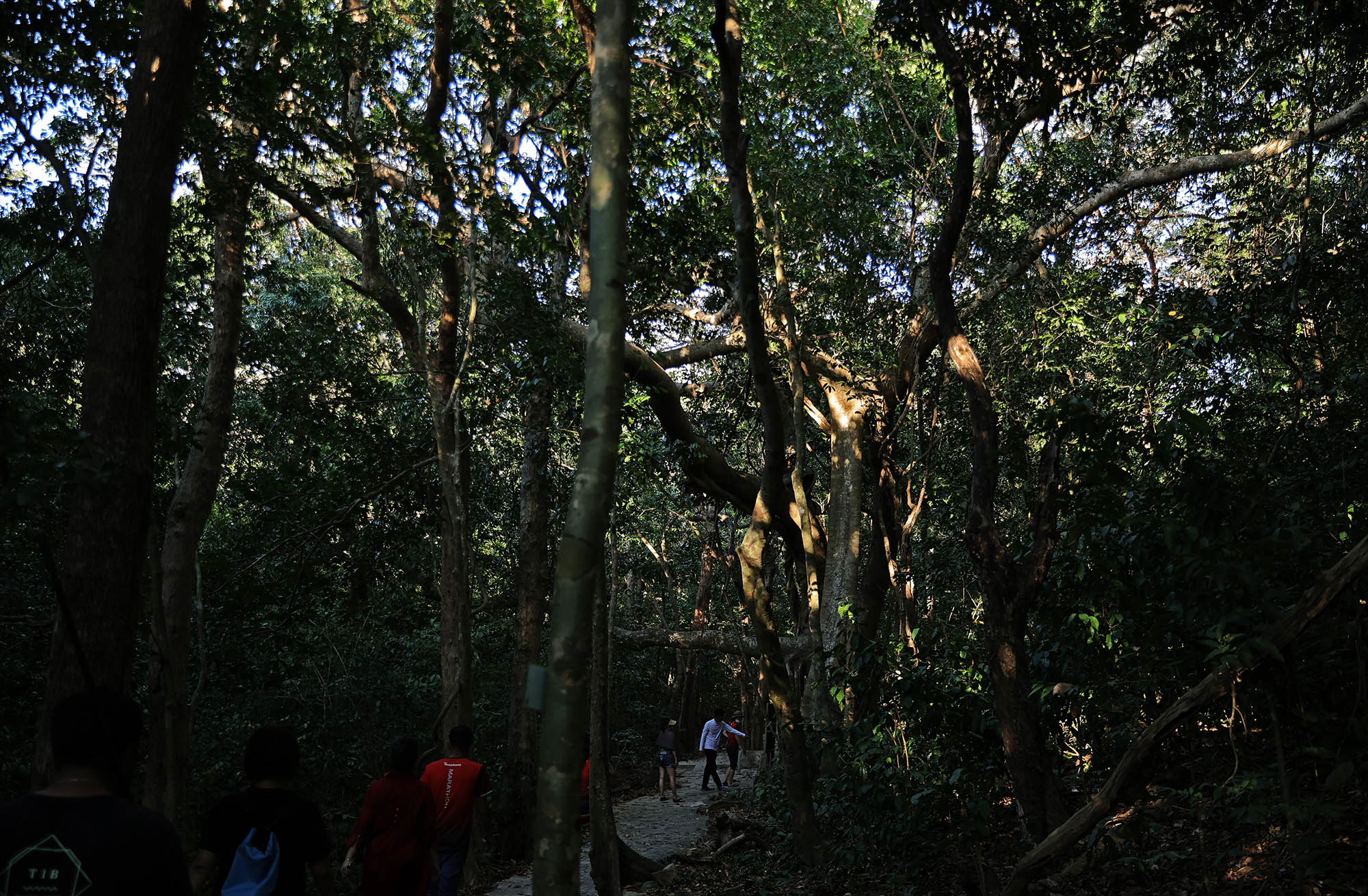 Côn Đảo trekking xuyên rừng