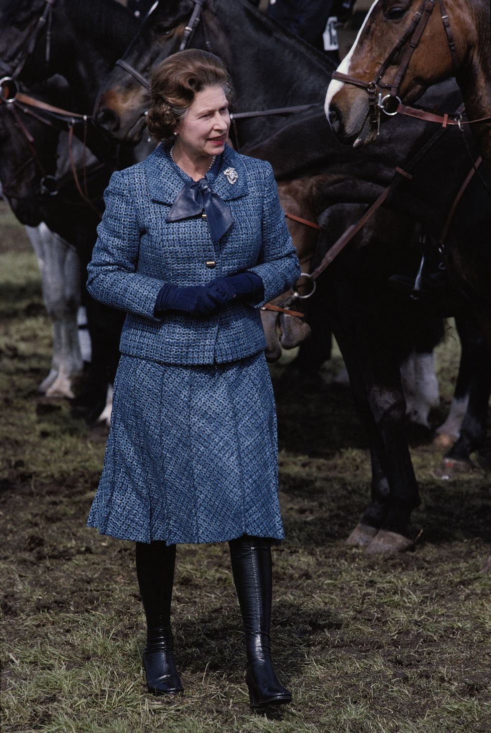 Nữ hoàng tại cuộc đua ngựa Royal Windsor Horse Show 