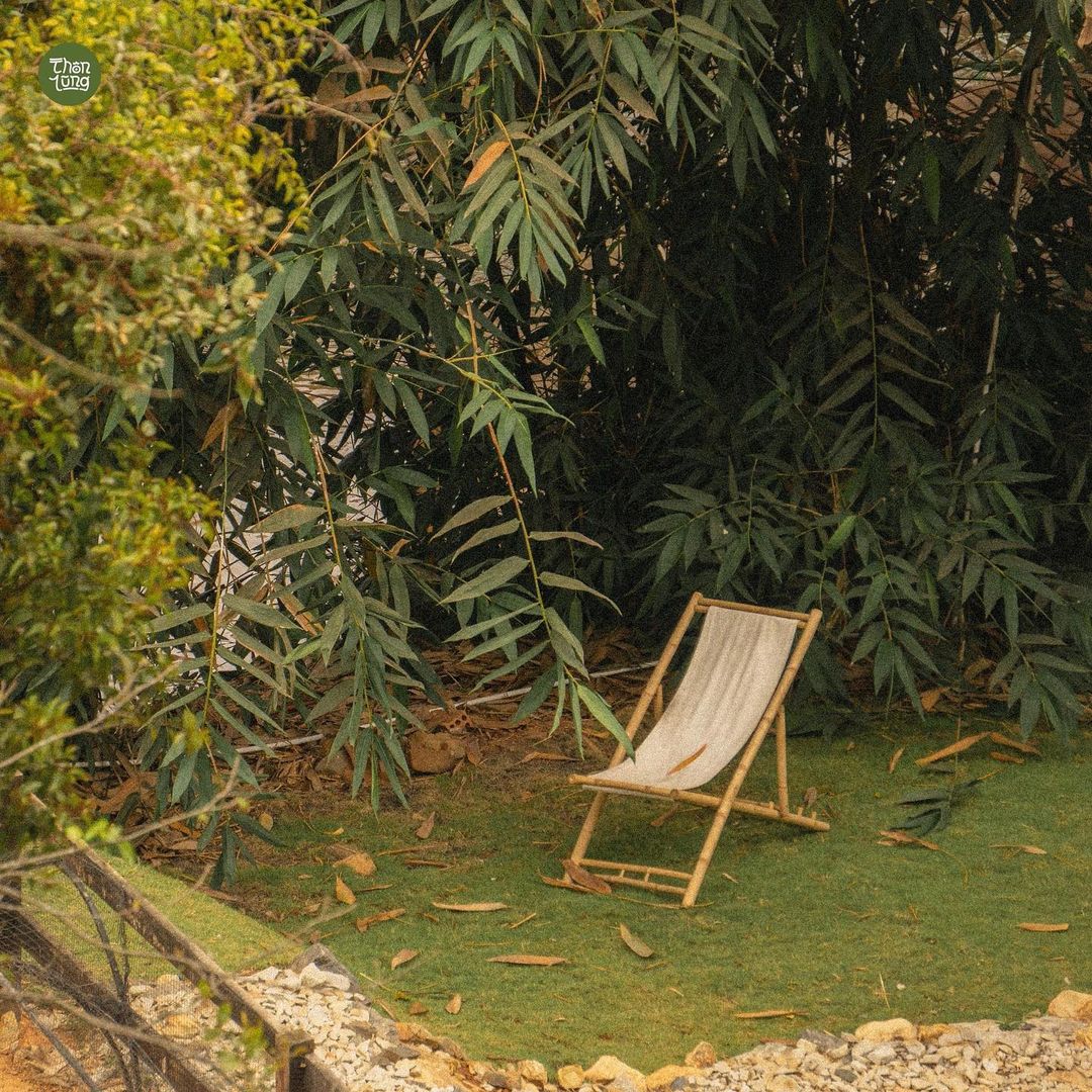 chiếc ghế trên thảm cỏ thông lũng
