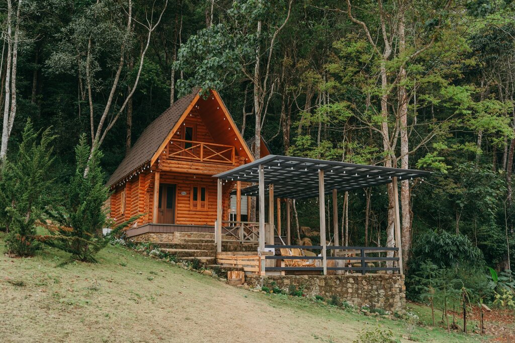 ngôi nhà gỗ nhỏ bên rừng thông