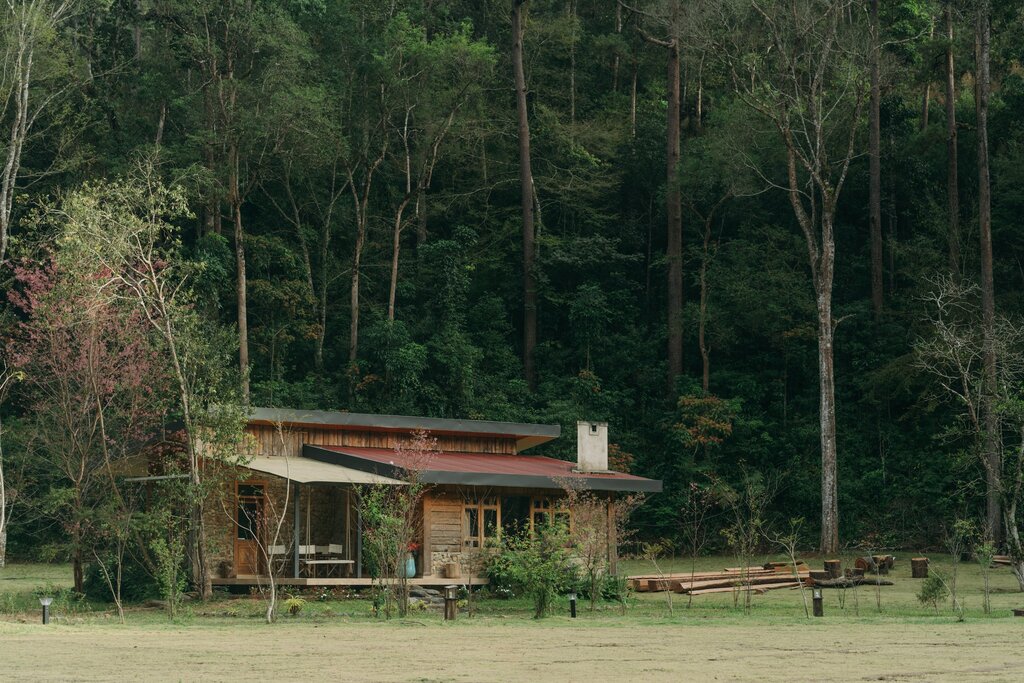nhà gỗ bên rừng thông