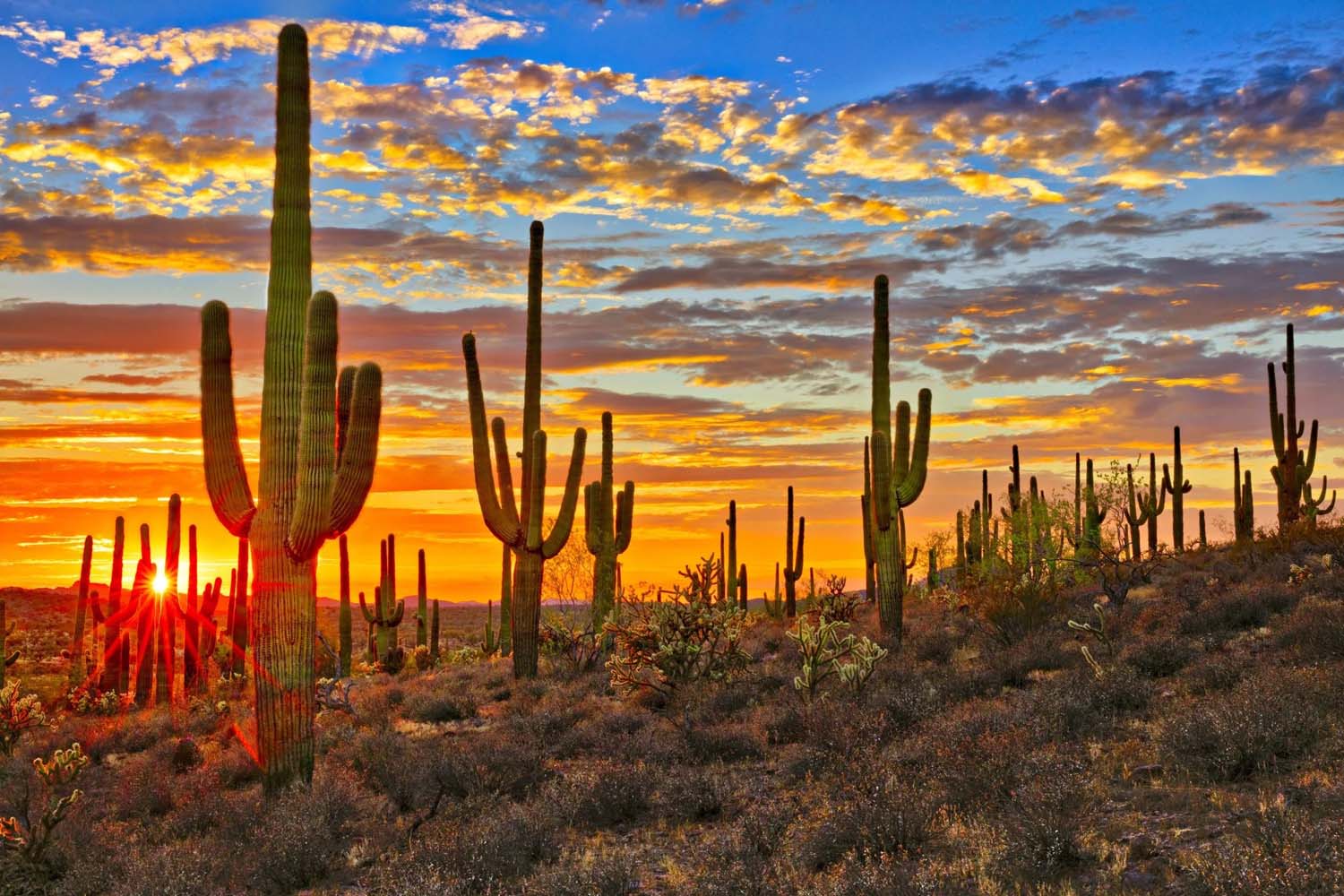 khí hậu arizona