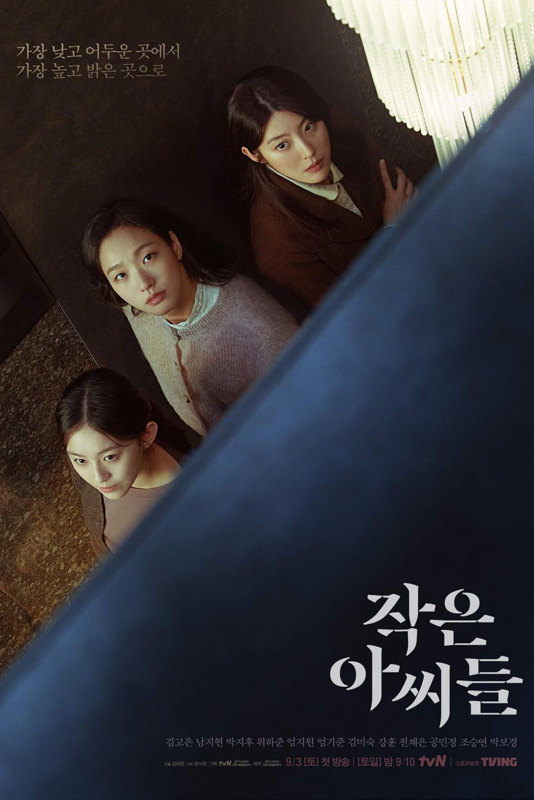 phim Little Women bản Hàn Quốc đáng xem vào tháng 8 năm 2022 có Kim Go Eun làm nữ chính