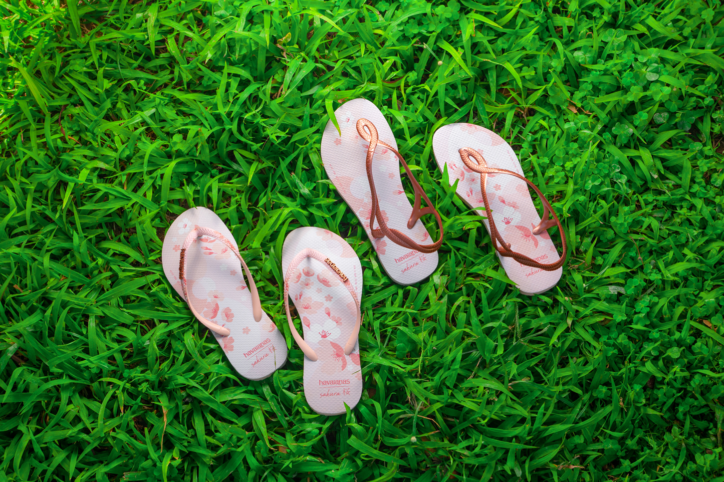 BST dép và sandals Havaianas Sakura 2022