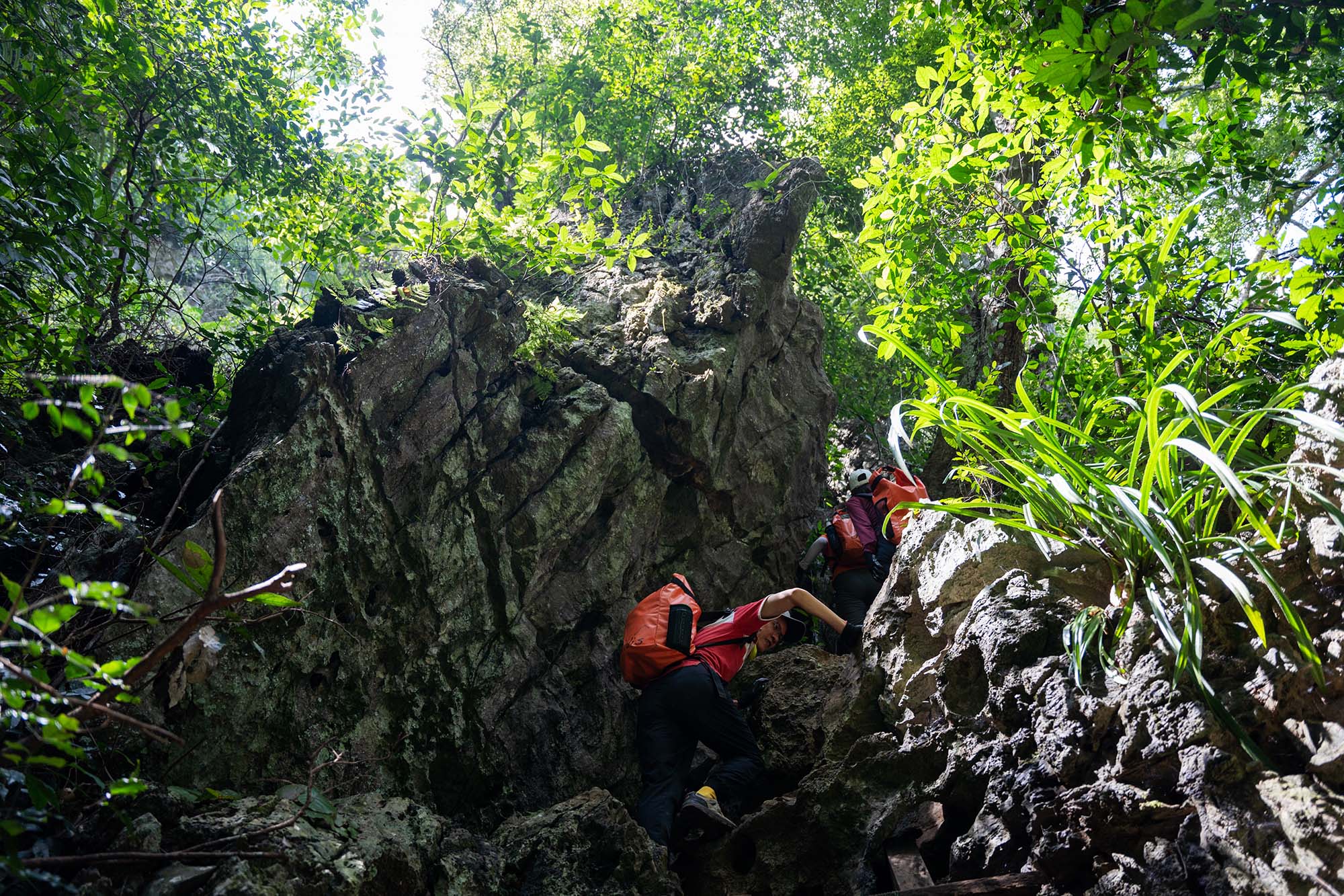 Tú Làn hành trình trekking