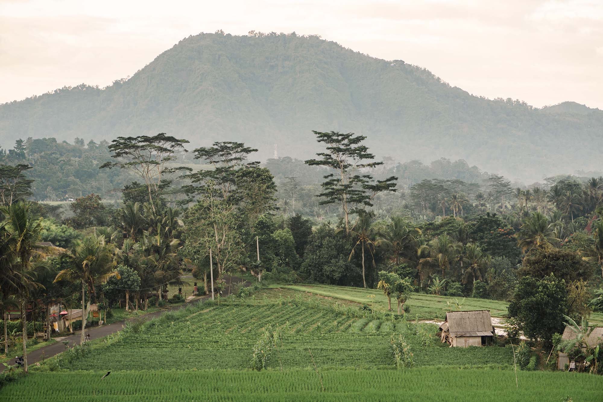 Làng ở Sidemen, Bali