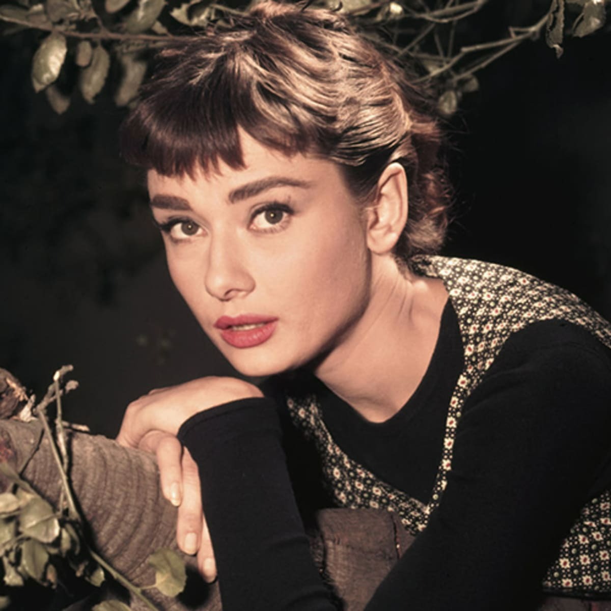 Audrey Hepburn