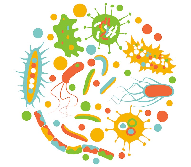Microbiome - Hàng phòng thủ vi sinh cho làn da khỏe mạnh