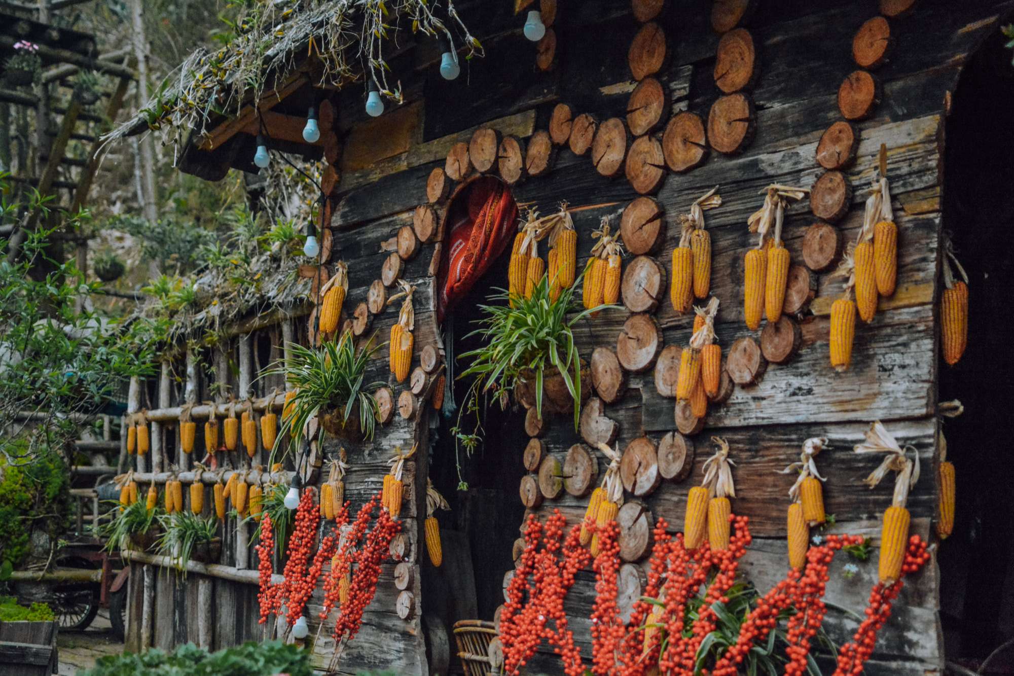 Bản Cát Cát Sapa