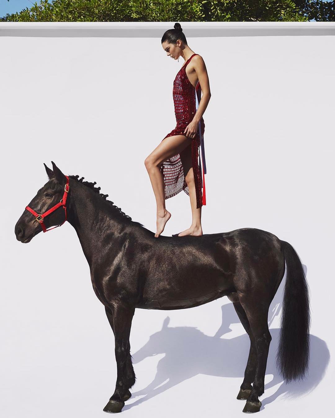 Kendall Jenner cưỡi ngựa