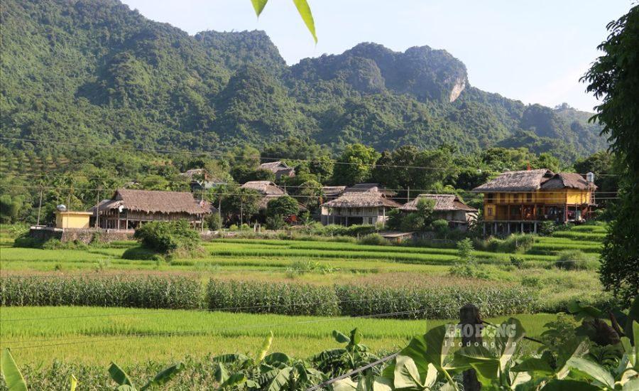 Hạ thành homestay