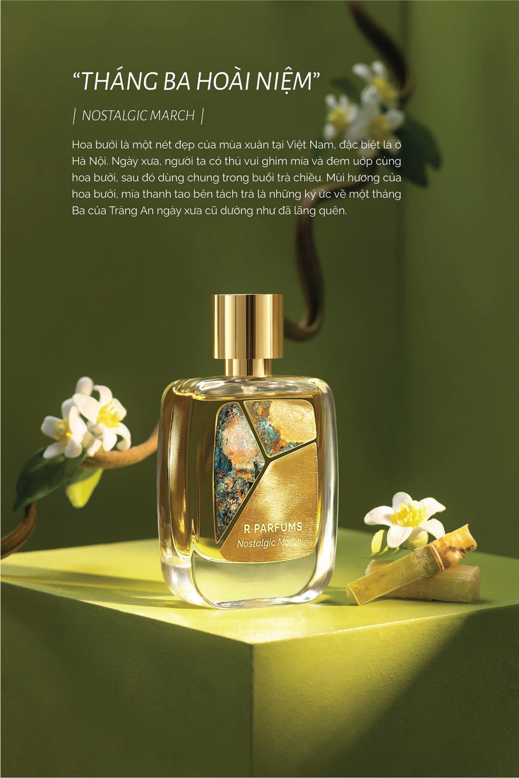 mùi hương R Parfums