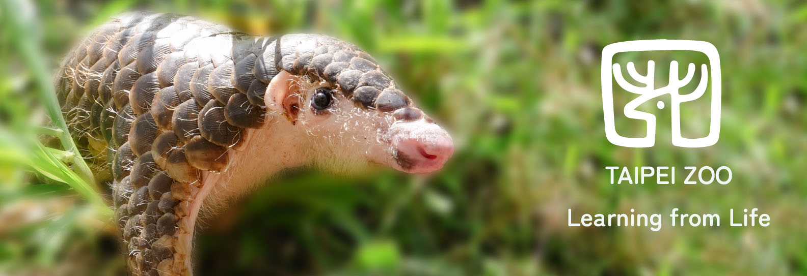 台北動物園