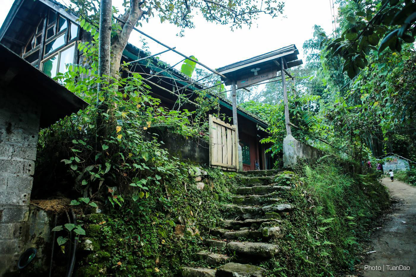 homestay sapa phori house 1 - 5 homestay và địa điểm nghỉ dưỡng gần gũi với thiên nhiên khi đến Sapa