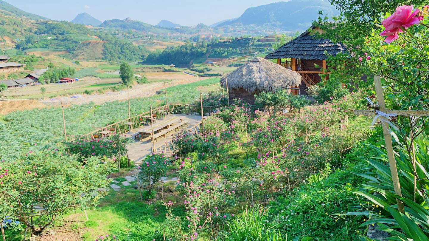 5 homestay và địa điểm nghỉ dưỡng gần gũi với thiên nhiên khi đến Sapa homestay sapa rose farmstay 3 - 5 homestay và địa điểm nghỉ dưỡng gần gũi với thiên nhiên khi đến Sapa