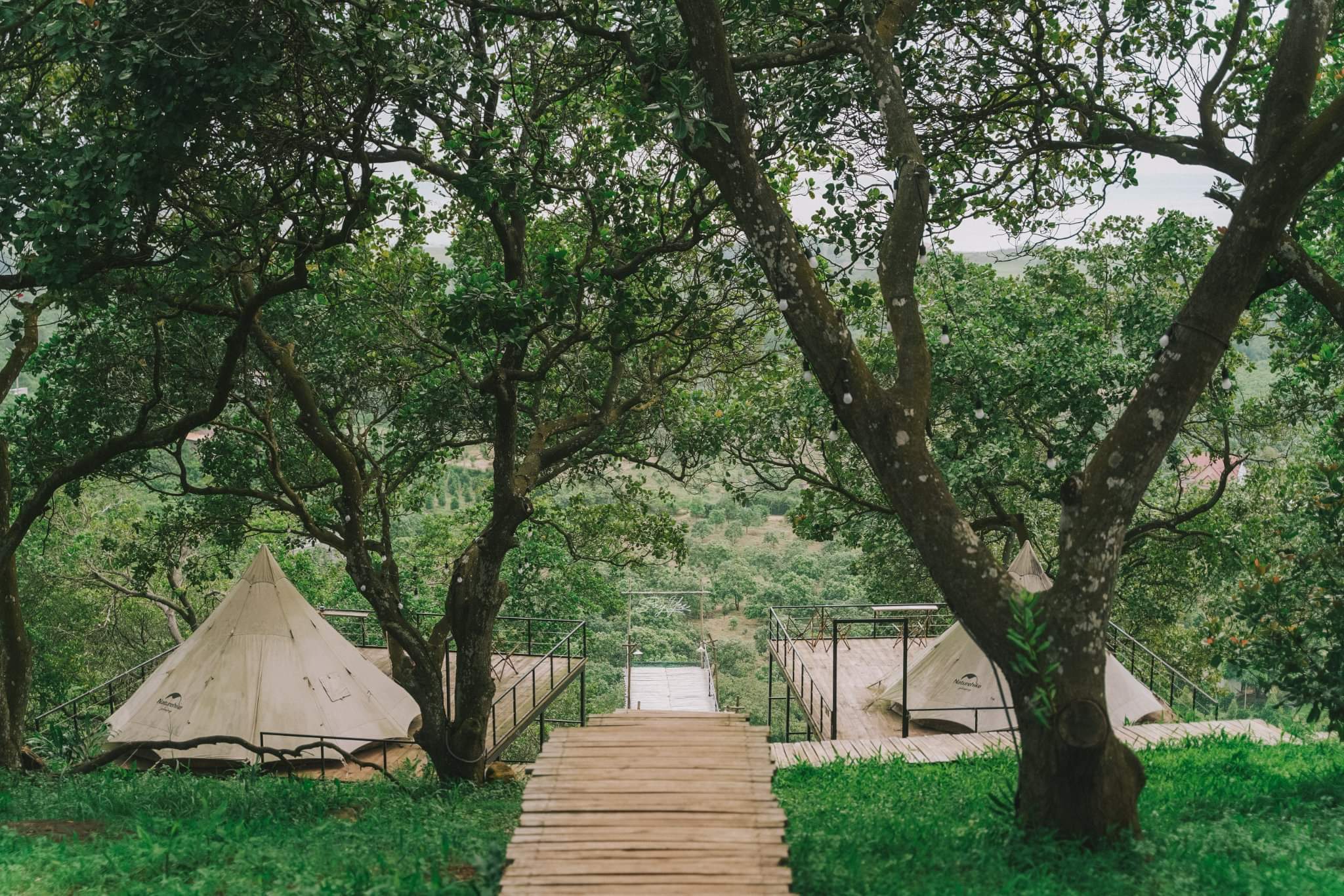 Dã ngoại tropical eglamping