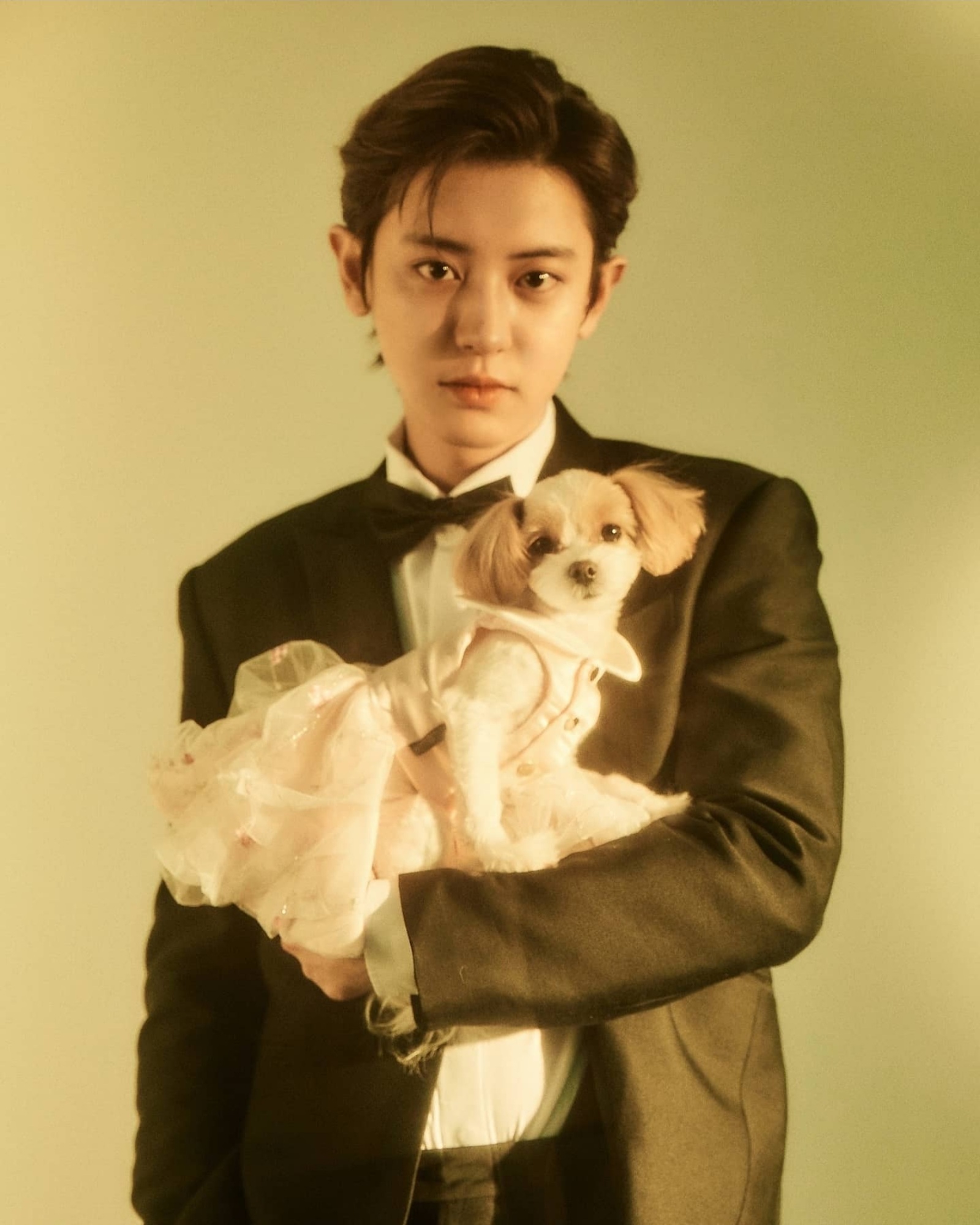 Công thức nấu ăn chanyeol