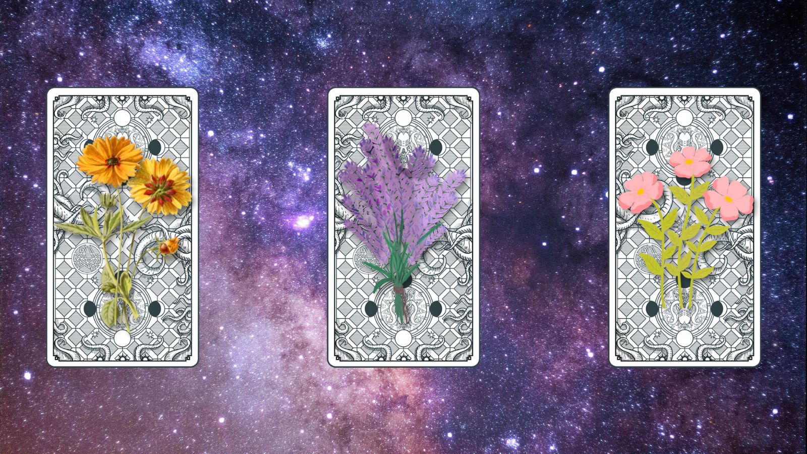 trải bài tarot tuần 30/1 - 5/2