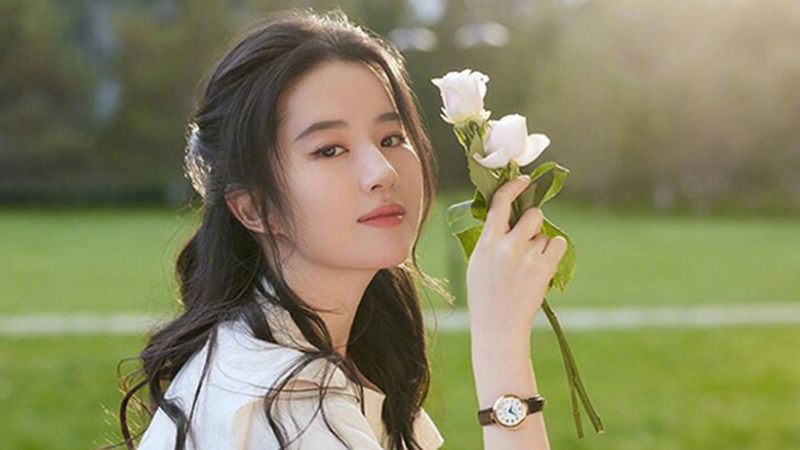 Tổng hợp nhiều hơn 101 hình nền lưu diệc phi tuyệt vời nhất  POPPY