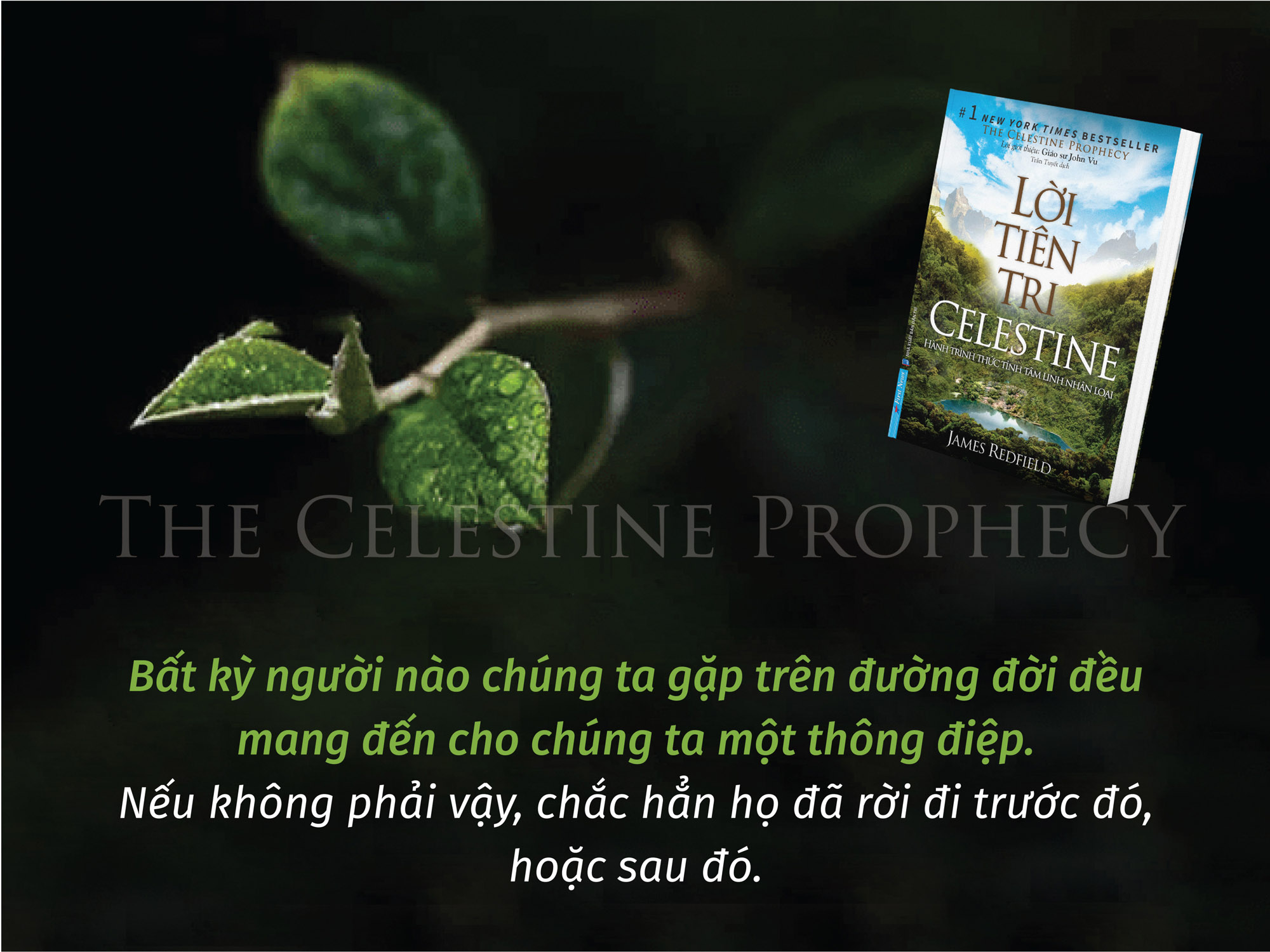 cuốn sách lời tiên tri celestine