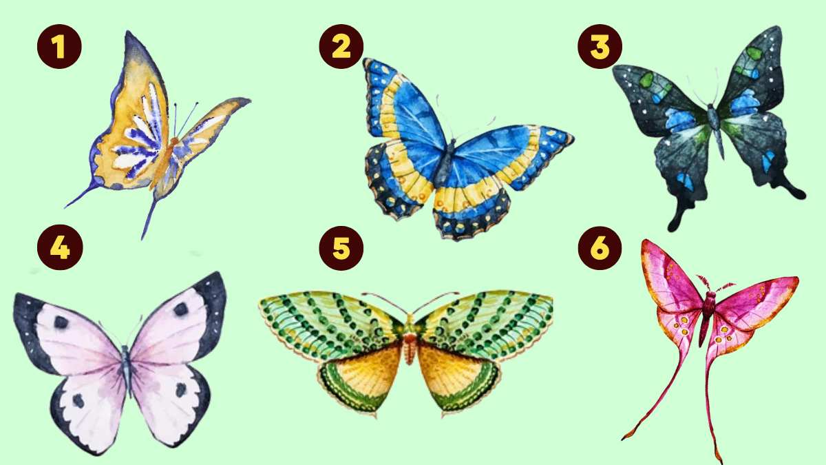 Trắc nghiệm cánh bướm tiết lộ ưu điểm của bạn