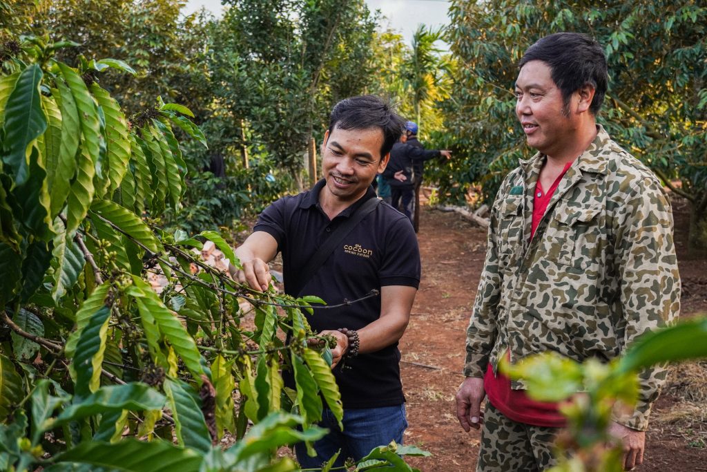 Cocoon đồng hành cùng hộ nông dân trồng cà phê Đắk Lắk