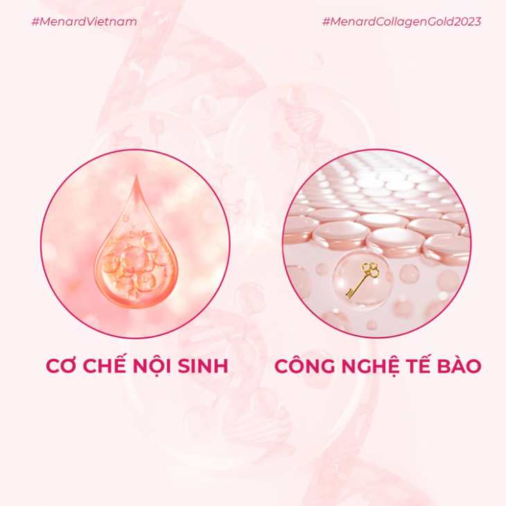 Menard Collagen Gold có khả năng tác động sâu vào cấp tế bào (nguyên bào sợi) - nhà máy sản xuất collagen của cơ thể.