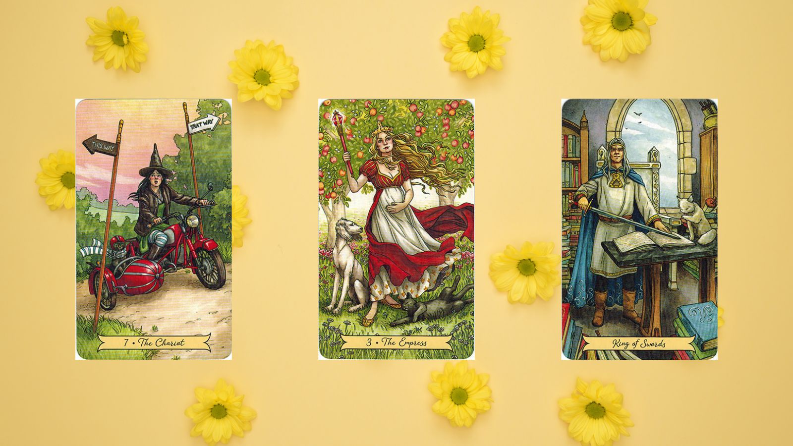 tụ bài tarot 1