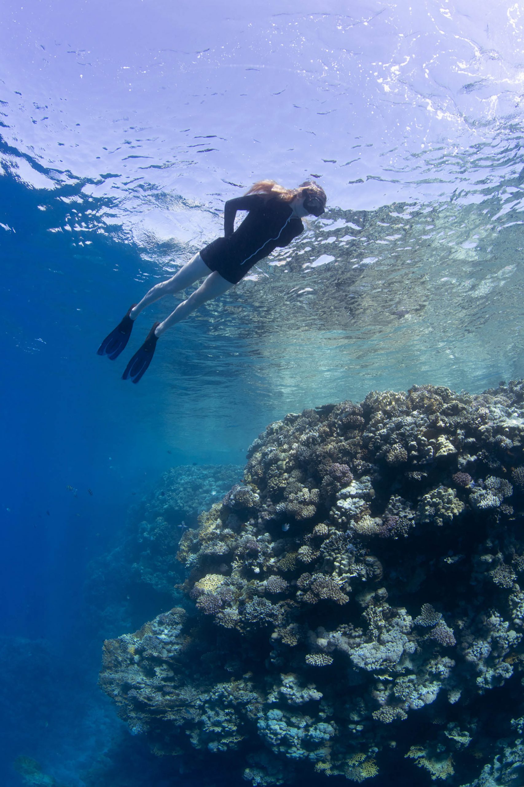 môi trường ellie goulding thăm san hô