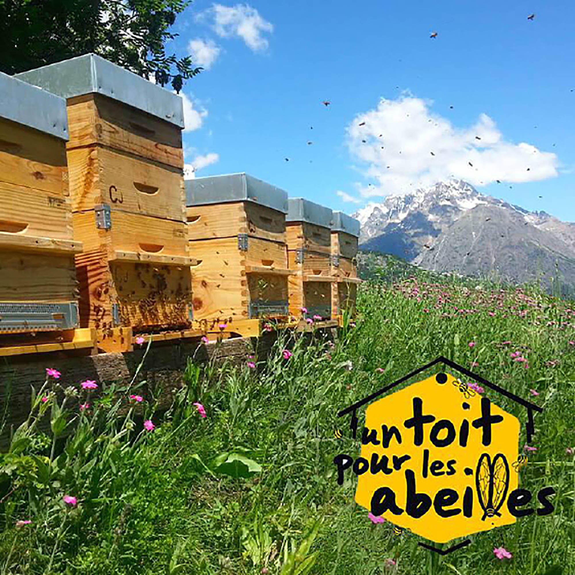 Nuxe hợp tác với tổ chức từ thiện “Un toit pour les abeilles” (một ngôi nhà dành cho loài ong), tài trợ cho các tổ ong nằm ở vùng Vosges của Pháp, để tạo ra các đàn ong mới và bảo tồn loài này