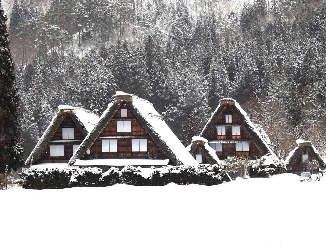 Du lịch làng cổ Shirakawago