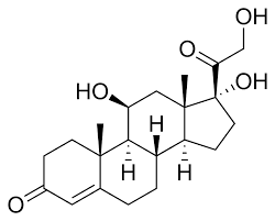 Cấu trúc hóa học của Corticoid. Hình ảnh: Wikipedia. <br/></noscript>3 hoạt chất không nên dùng trong trị nám để tránh làm tổn thương da & sức khỏe  