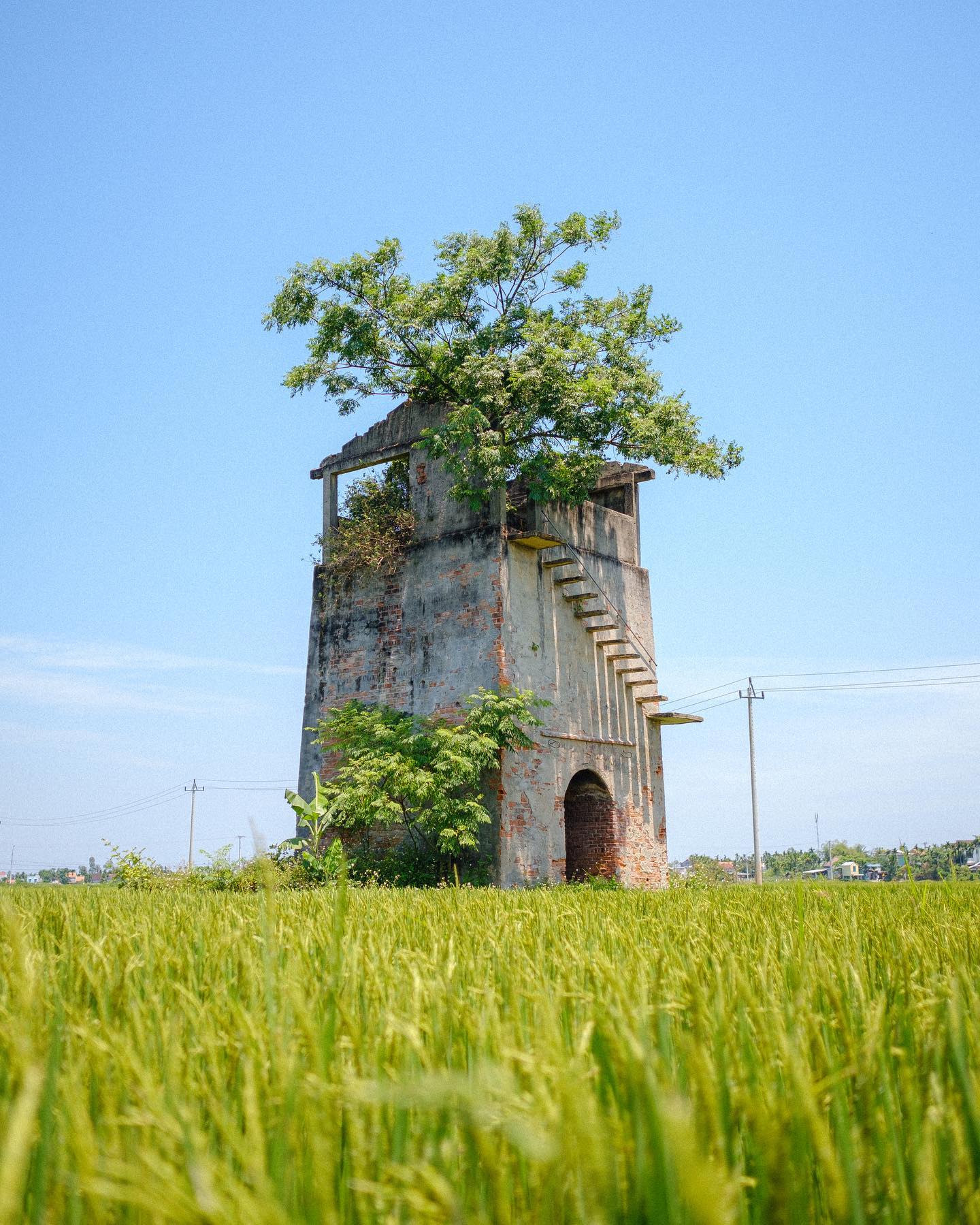 Lò gạch cũ Hội An