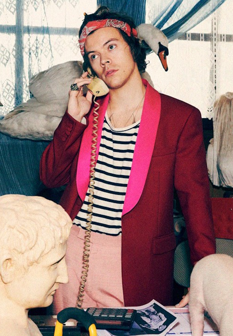 harry styles