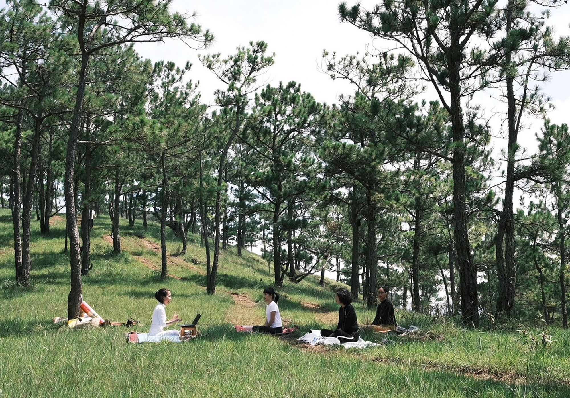 yoga lớp học triền thông