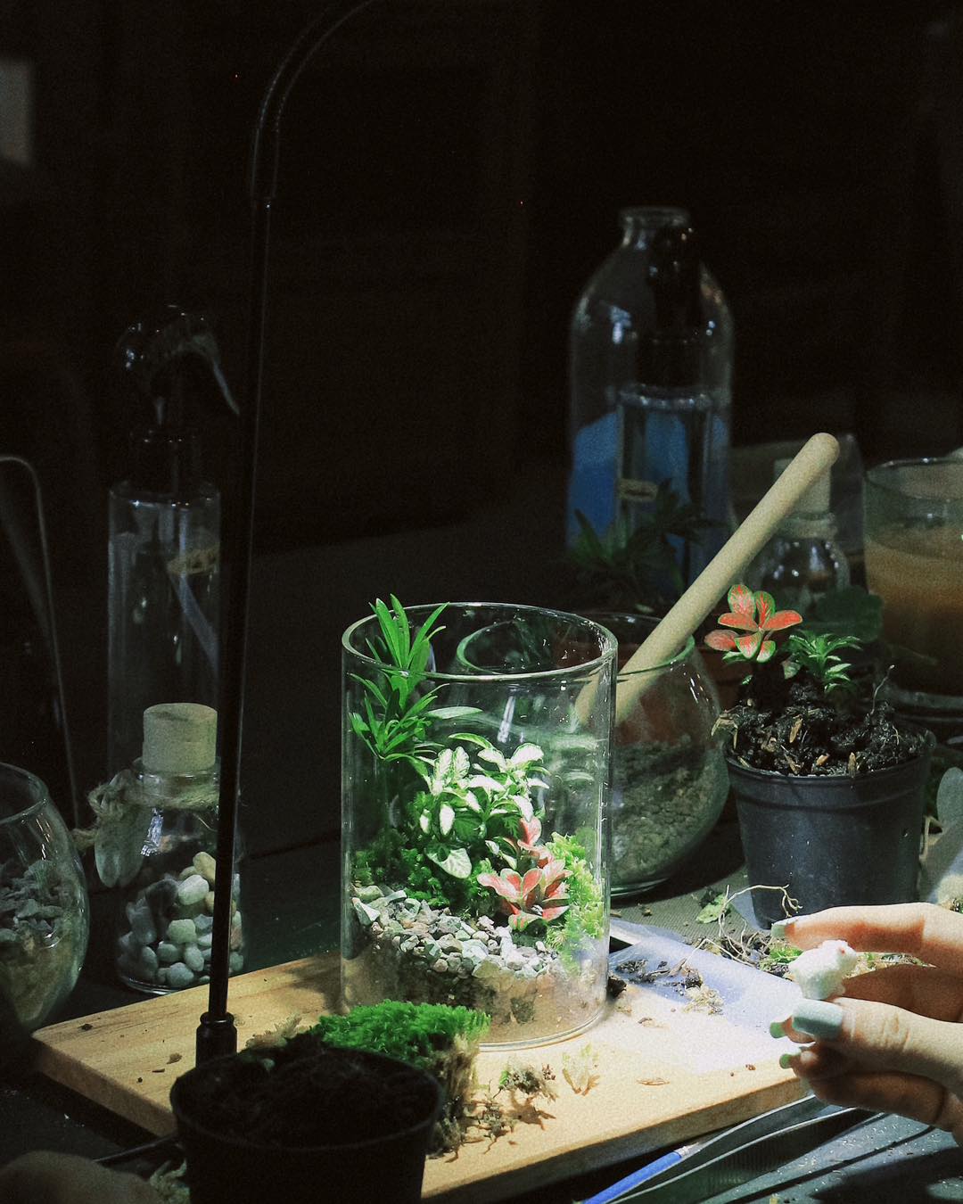 terrarium chữa lành trang trí bàn làm việc