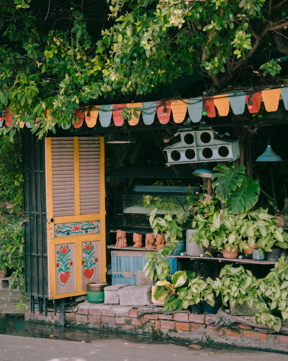 cú trên cây coffee