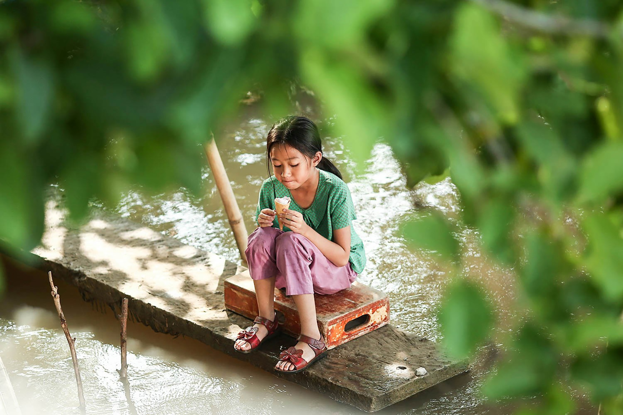 điện ảnh hai phượng