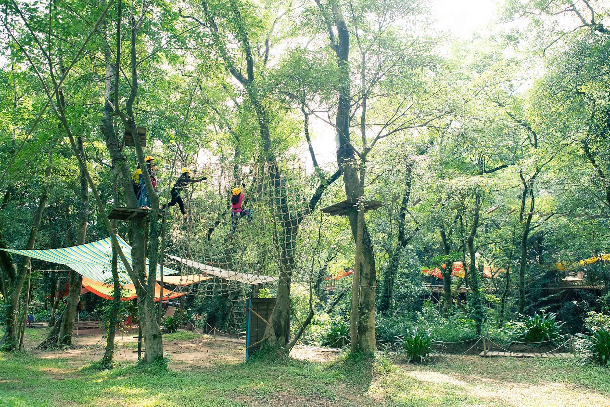 du lịch sinh thái tại ozo park