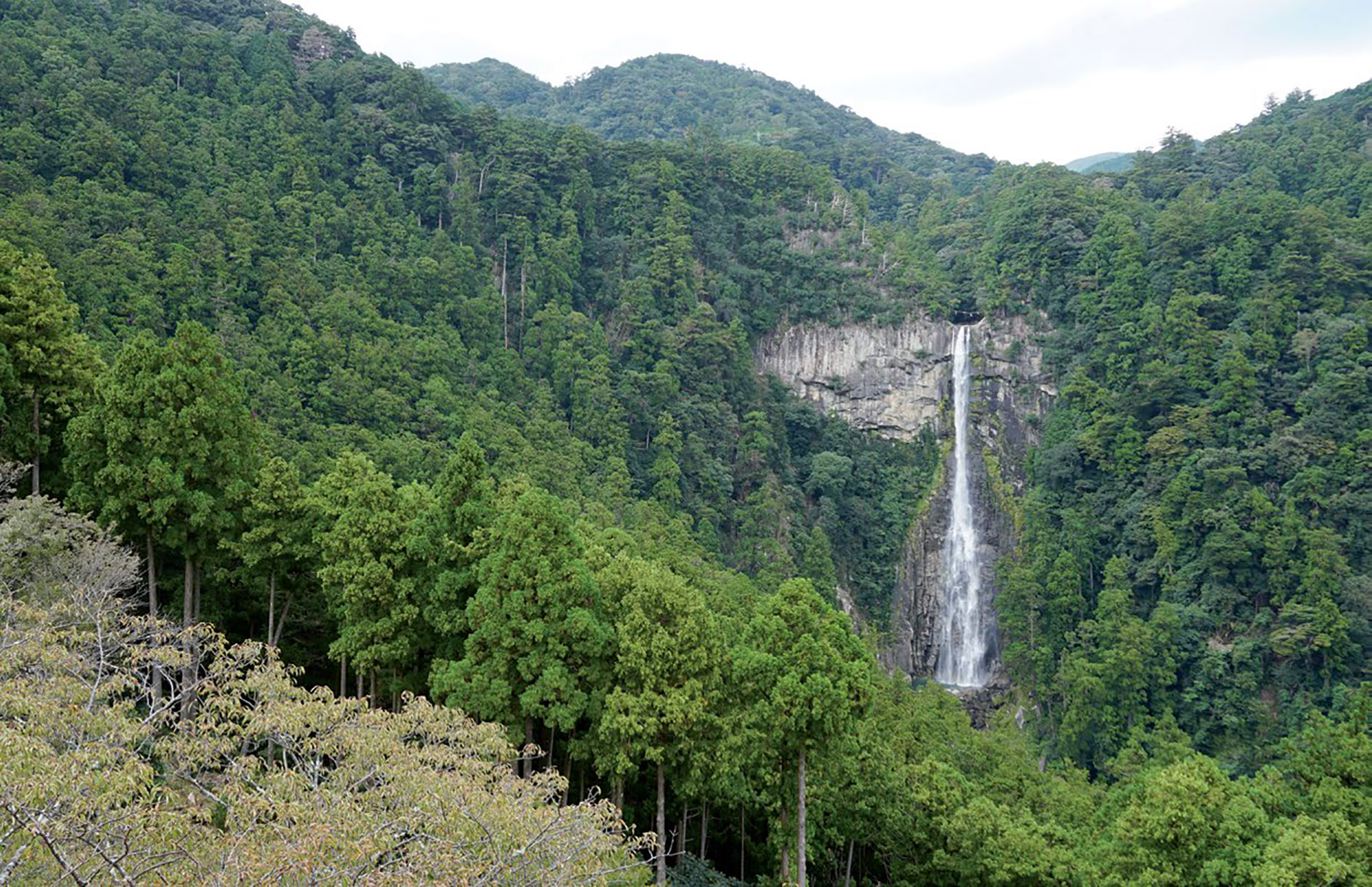 wakayama thác nước nachi