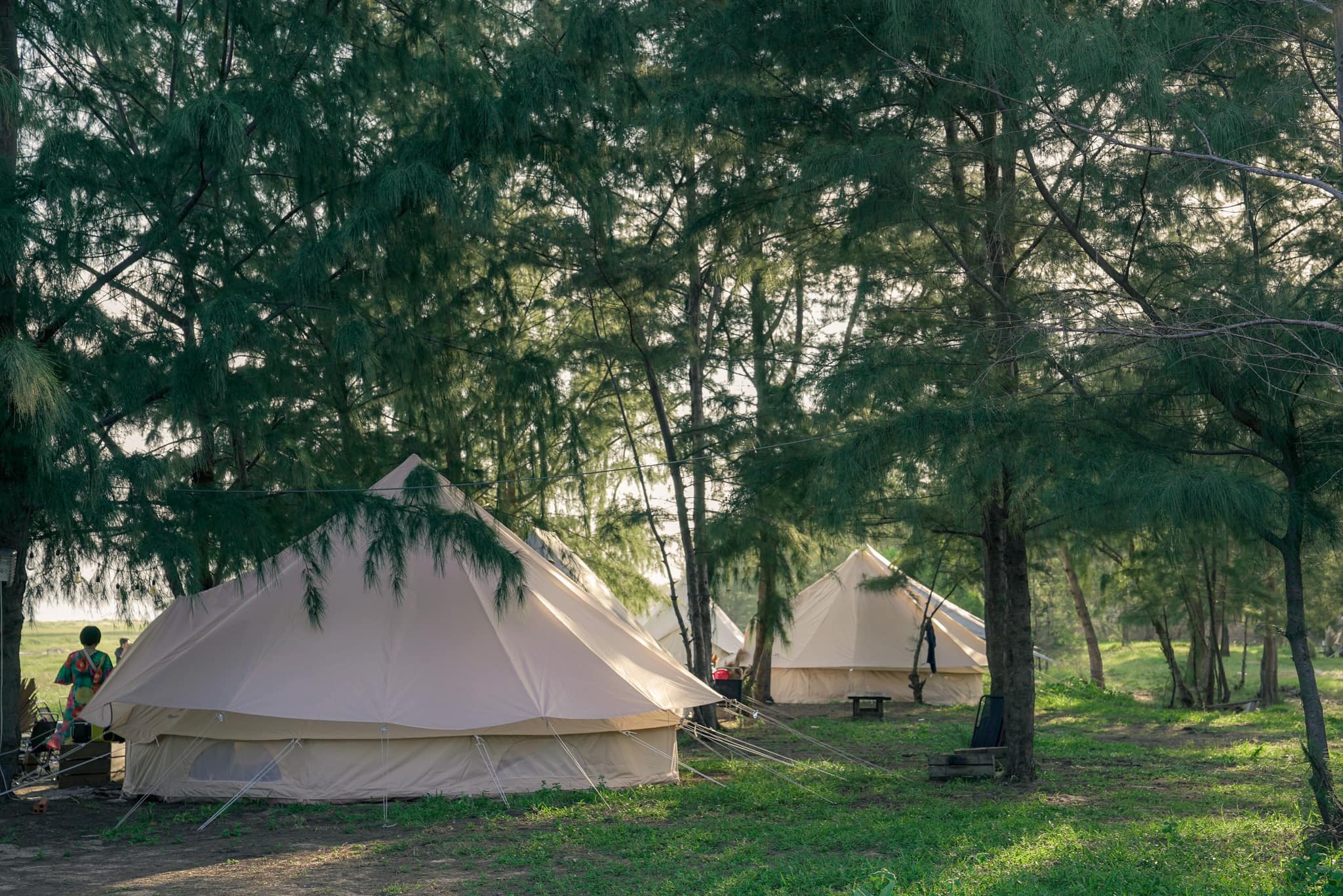 Đi Bụi Camping