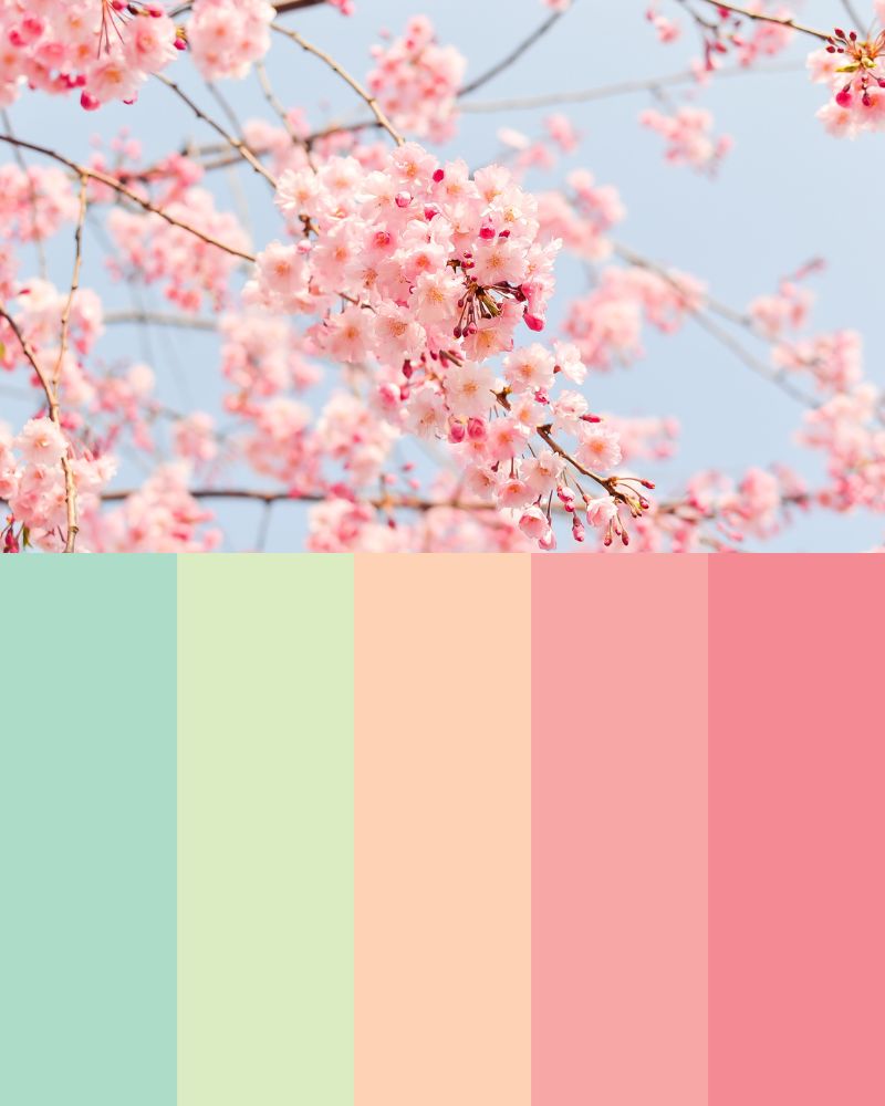 Personal Color:  nhóm màu mùa Xuân