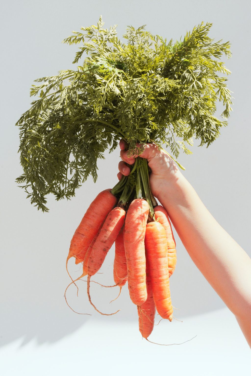 quả cà rốt là thực phẩm chứa nhiều dưỡng chất giúo da căng bóng và mịn màng.
